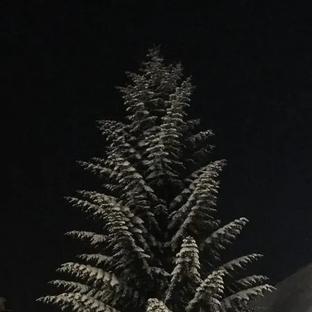 Arka House Widokowy *