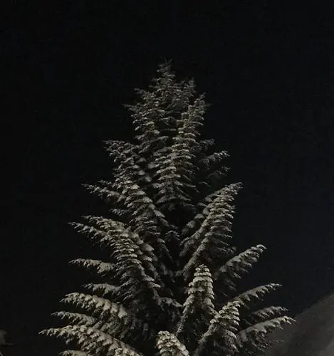 Arka House Widokowy *